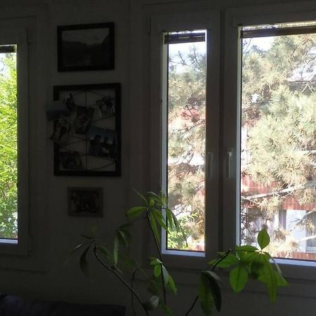 15 Min Zum Zentrum Apartment Vienna Luaran gambar